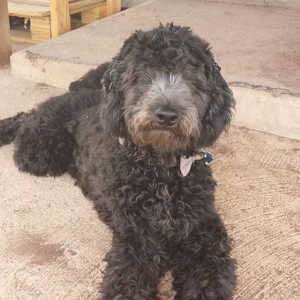 Fundraising Page: April Stinton